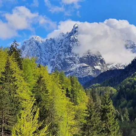 Apartment Alpska Astra Kranjska Gora Esterno foto